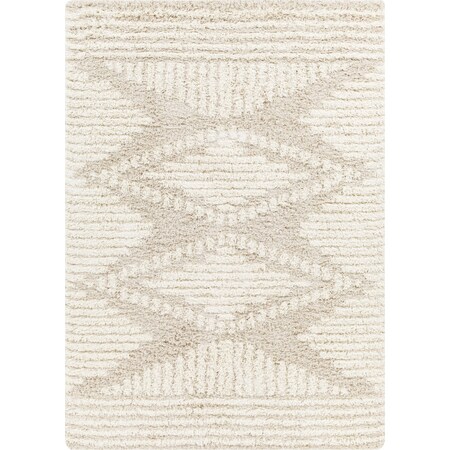 Livabliss Urban Shag USG-2326 Machine Crafted Area Rug USG2326-710103